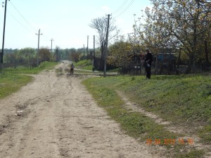 image (2)