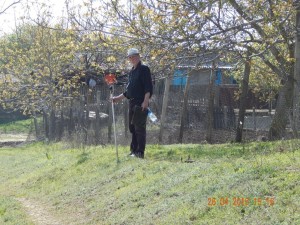image (4)